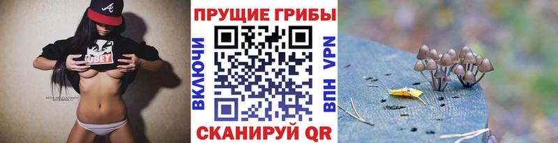 Псилоцибиновые грибы мицелий  Болгар 